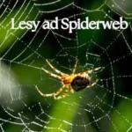 lesy ad spiderweb