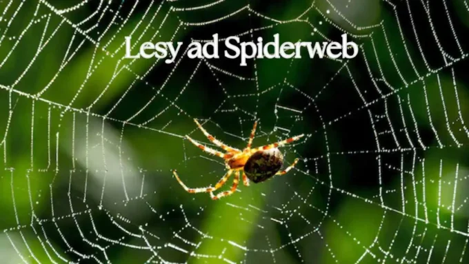 lesy ad spiderweb